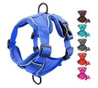 SMALLLEE_LUCKY_STORE Pet No Pull Puppy Harness and Leash Set for Small Medium Dogs Cats Front Back Clip Reflective Soft Mesh Padded Adjustable Comfort Vest for Walking French Bulldog Harness,Blue,L