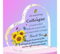 SMARGO Leaving Gifts for Colleagues Thank You Gifts for Women Christmas Desk Decor Gifts for Teacher Coworker Doctor Nurse Leaving Job Farewell Gift for Colleagues