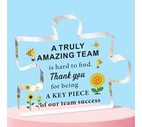 SMARGO Team Thank You Appreciation Gifts for Coworkers Colleagues Employees, Teamwork Gift Best Teams Ever Gifts a Truly Amazing Team Is Hard to Find Acrylic Puzzle Piece Plaque Office Decor