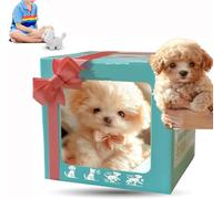 Smart AI Robot Dog,Robot Dog That Acts Like A Real Dogs,Interactive Dogs Toy with Walking,Barking,Tail Wagging,Electronic Pet Gift for Adults & Kids (Style-C)