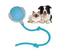Smart Automatic Rolling Pet Balls - Active Rolling Ball with Tail for Dogs, Electric Self Moving Dog Ball, Moving Cat Toy, Chase Mate Cat Chaser Toy for Indoor Small/Medium Pet (Blue) 1218