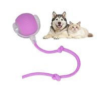 Smart Automatic Rolling Pet Balls - Active Rolling Ball with Tail for Dogs, Electric Self Moving Dog Ball, Moving Cat Toy, Chase Mate Cat Chaser Toy for Indoor Small/Medium Pet (Purple) 1218