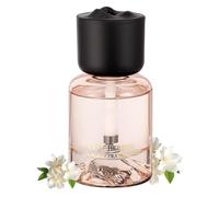 Smart Car Air Freshener Diffuser 120ml Smarter