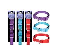 Smart Choice Pet Dog Collar - Multi-Coloured - Size: Medium - Large