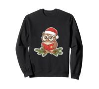 Smart Christmas Owl Santa Hat Reading A Book Festive Teacher Sweatshirt