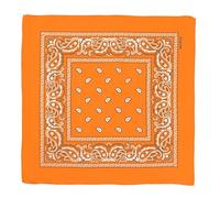Smart Cutie Orange Paisley Bandana Head Scarf Headbands Handkerchief Cowboy Cotton Bib Party Face Covering Headwear For Motorcycling Mens Womens Unisex