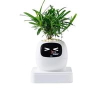 Smart Flower Pot Planter, Indoor Flower Pot, Ai Pet System, Pothos Modern Self Watering Design, Authentic Quality Material, Garden Accessories for Home Office Living Room Balcony Usage