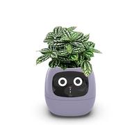 Smart Flowerpots, Smart Pet Planter, Intelligent Flowerpots, Multiple Expressions, 7 Smart Sensors and Ai Chips Make Raising Plants Easy and Fun, for Living Room purple