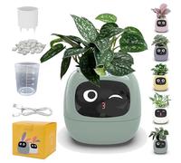 Smart Flowerpots, Smart Pet Planter with Expression, Ai Smart Plant Pot with Expression, Smart Pet Planter Robot Guidance on Plant Care with Emojis, with 7 Smart Sensors & LCD Display (Green)