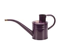 Smart Garden 1 Litre Violet Home & Balcony Steel Watering Can