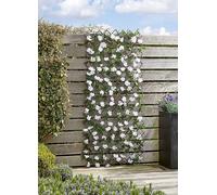 Smart Garden 180 x 60cm Solar InLit Hydrangea Faux Trellis Natural