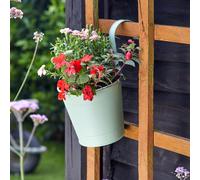 Smart Garden 6'' Sage Fence & Balcony Hanging Pot