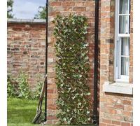 Smart Garden Maple Leaf Willow Trellis