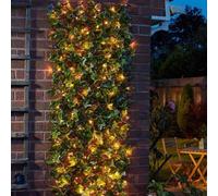 Smart Garden Solar In-Lit Ivy Trellis