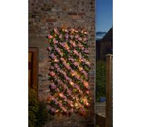 Smart Garden 60X 180Cm Expanding Solar Light Pre Lit Pink Blossom Flower Trellis