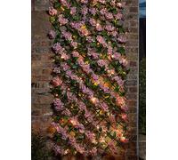 Smart Garden 75 LED Solar In-Lit Pink Blossom Expanding Trellis 180 x 90 cm Natural
