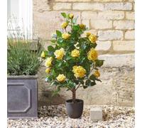 Smart Garden 80Cm Artificial Rose Tree In Potted Plant - Yellow Roses