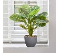 Smart Garden Artificial Prayer Houseplant