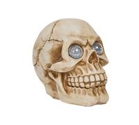 Smart Garden Blinkin’ Skull - Animated Light-Up Skull with Flashing LED Eyes - Battery Powered Halloween Prop for Indoor or Outdoor Display - Spooky Hand-Painted Décor