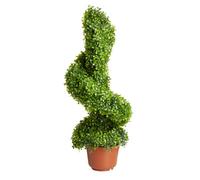Smart Garden Boxwood Artificial Topiary Iron