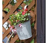 Smart Garden Classic Fence & Balcony Hanging Pot 6 - Ivory