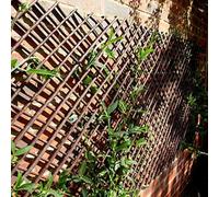 Smart Garden Expanding Willow Garden Trellis Climbing Plant Support 1.87M X 60Cm