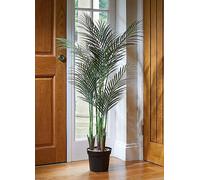 Smart Garden Faux Phoenix Palm House Plant Black