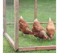 Smart Garden Galvanised Hexagonal Wire Netting, Size 13mm