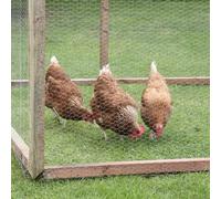Smart Garden Galvanised Wire Netting 13mm, 0.5x5m