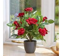 Smart Garden Marco Paul 40Cm Artificial Rose Tree In Pot - Ruby Red