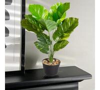 Smart Garden Marco Paul Artificial Indoor House Plant - Leopard Lily