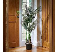 Smart Garden Marco Paul Artificial Indoor House Plant - Phoenix Palm Tree
