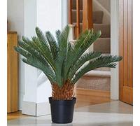 Smart Garden Sago Palm Faux Plant, Green