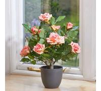 Smart Garden Marco Paul Artificial Potted Rose Plant - Pink