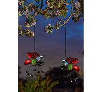 Smart Garden Pack of 2 LadyGlo Hanging Pendants