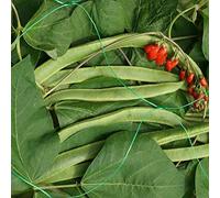 Smart Garden Pea & Bean Netting - Green 150mm - 2 x 5m