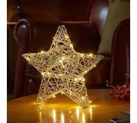 Smart Garden Products Three Kings Christmas Lighting - Gold Weave WonderStarlet! (20cm) Wire Mesh Christmas Light