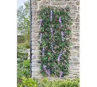 Smart Garden 60Cm X 180Cm Expanding Wisteria Leaf Trellis Wheelie Bin Screen