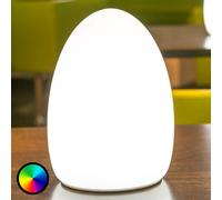 Smart&Green EGG - an app-controlled decorative light with rechargeable battery