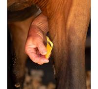 Smart Grooming Equi-Shave - Single