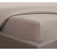 Smart Living Luxurious 300 Thread Count 100% Cotton Sateen Anti-Allergy Fitted Sheet in Beige | Size: Single Fitted Smart Living Beige Single Fitted