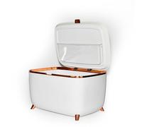 Smart Mini Fridge, Portable Beauty Refrigerator, Car Cosmetics Cooler, Desktop Medicine Insulin Freezer, Wireless Connectivity with Mobile Phone, Champagne Orange