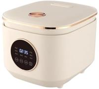 Smart Mini Rice Cooker