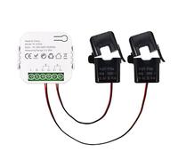 Smart New WiFi Energy Clamp Bidirectional Meter with Buzzer Alarm for Threshold App Monitor Export Import Power AC110V/240V Compatible for Tuya(2 Channels-2CT)