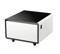 Smart Nightstand With Touch Screen Dual Usb Charging Bedside Table 65l Large-capacity Refrigerator Cabinet End Table interesting