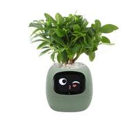 Smart Pet Planter, Smart Plant Pot, With Artificial Intelligence, Time Weather Display, And Multiple Expressions Animation,Lovely Plant Companion, For Desktop Decoration, Gifts,Plant-Free (Green)