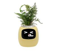 Smart Pet Planter, Smart Plant Pot, With Artificial Intelligence, Time Weather Display, And Multiple Expressions Animation,Lovely Plant Companion, For Desktop Decoration, Gifts,Plant-Free (Yellow)