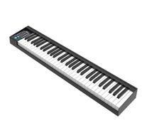 Smart Piano Professional 61-key Adult Learning Electric Piano