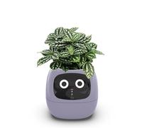 Smart Plant Ivy Pet Planter Robot with Emojis, AI Time and Temperature Display, Indoor Decoration Gift for Home, Office, or Party
