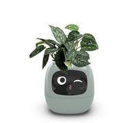 Smart Plant Pot, AI Flowerpot with 49 Expressions, 7 Sensors, LCD Screen, APP Control, Time Date Weather Display